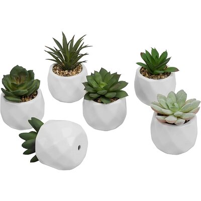 Dakota Fields 3.93'' Faux Succulent Plant in Ceramic Pot & Reviews ...