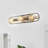 Brielle 3-Light Dimmable Vanity Light