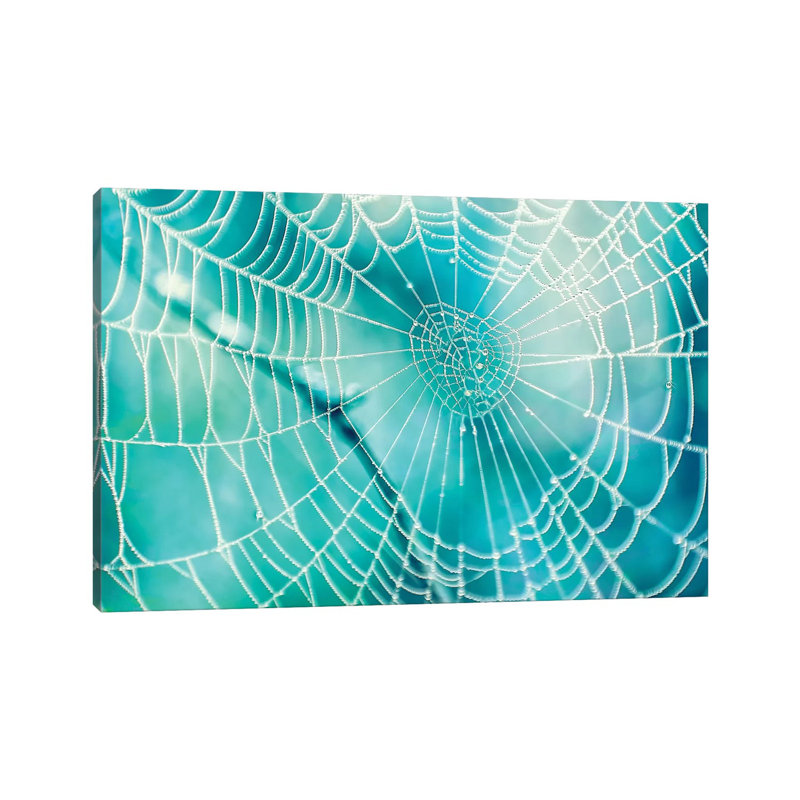 Spider Web by MScottPhotography - Wrapped Canvas Gallery-Wrapped Canvas Giclée, 20.32 cm H x 30.48 cm W