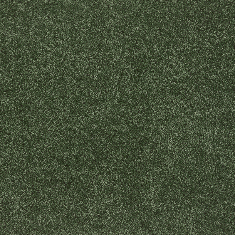Forest Green Shaggy , Runner 67 x 150cm