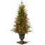 The Holiday Aisle® 4 ft. Nordic Spruce Entrance Tree with Clear Lights