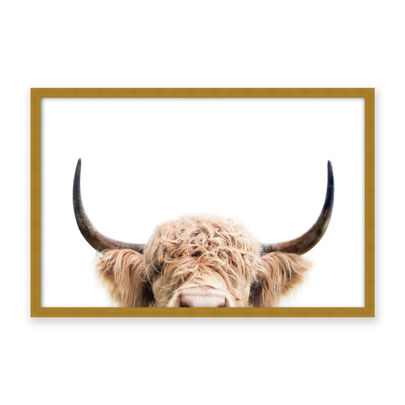 Nature Inspired Peeking Cow by  - Picture Frame Photograph on Paper, 32" H x 48" W x 1.125" D, Black, Framed Print