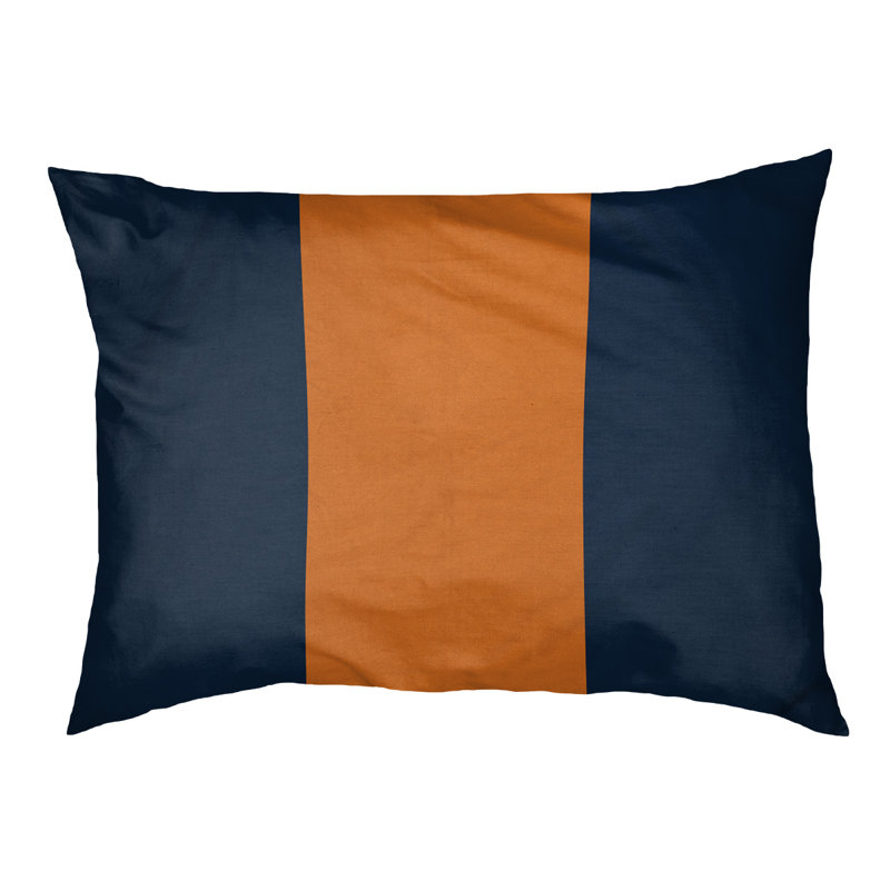 Coussin pour chien Auburn, Grand (l 40 po x P 30 po x H 6,5 po), Bleu / orange / bleu