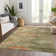Machine Washable Indoor/Outdoor Chayden ACN1091 Green Rug