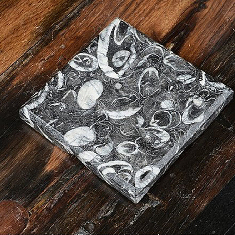 Cendrier poli à la main motif coquillage