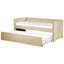 Baskin Upholstered Velvet Daybed with Trundle Bed-696839780
