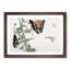 Butterflies on an Orange Flower by Morimoto Toko - Picture Frame Graphic Art Print-55680571-55680570