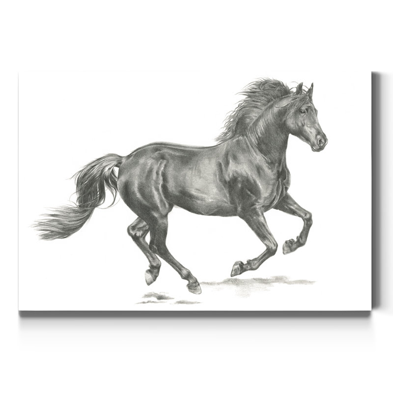 Portrait de cheval sauvage II-impression de dessin sur toile, H 12 po x l 18 po x P 1,5 po