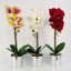 46cm Faux Plant in Pot Liner-101685277