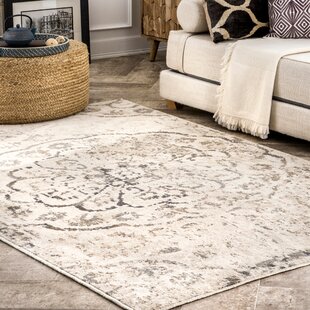 https://assets.wfcdn.com/im/98925391/resize-h310-w310%5Ecompr-r85/8513/85136852/simpson-distressed-vintage-beige-area-rug.jpg