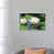 White Framed