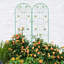 Ensemble de 2 treillis en métal antirouille de 86,7 po x 19,7 po, support de fleurs pour plantes grimpantes d'extérieur