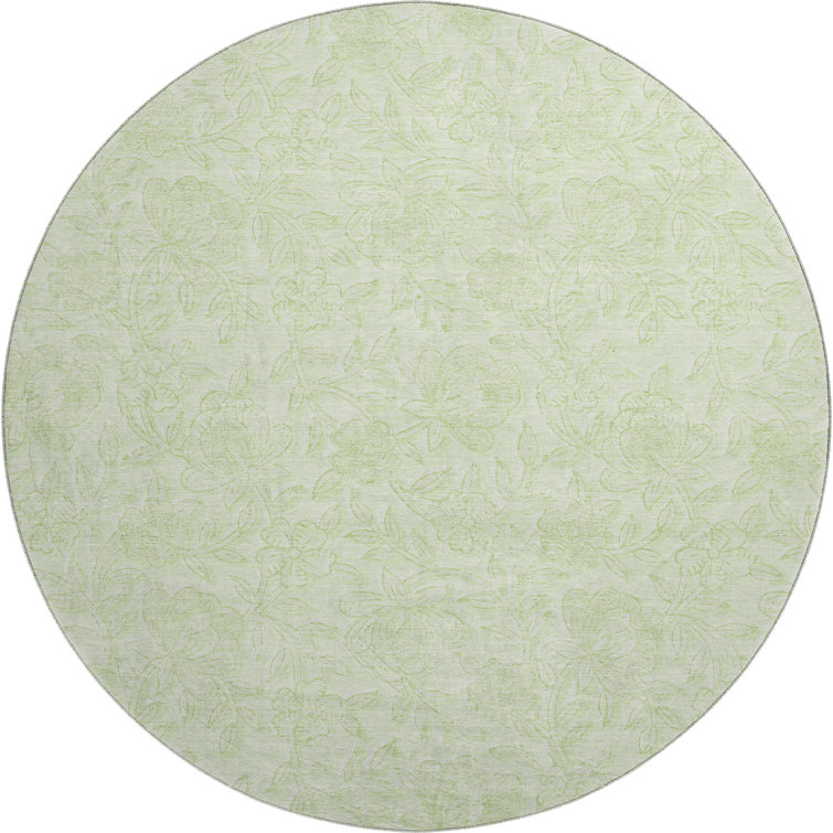 Premium Machine Washable Prisco Aloe Rug