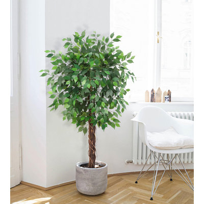 2Pcs 6 FT Artificial Ficus Tree With Natural Wood Trunk, Fake Ficus Silk Tree In Plastic Nursery Pot