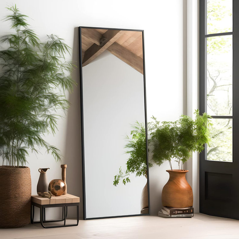 Full Length Mirror, Free Standing Floor Mirror For Leaning Or Hanging, Bedroom & Living Room Decor, 56" x 21", Gold