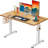 Arnfred Height Adjustable Rectangle Standing Desk-1570344573-1562932084