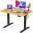 Putnam Height Adjustable Standing Desks-194064653-194064655