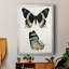 «Antique Blue Butterflies I», reproduction encadrée de qualité supérieure - prête à être accrochée-1894364023-1894364016