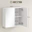 W H Medicine Cabinet Mirror