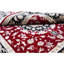 Oriental Area Rug-1682477668
