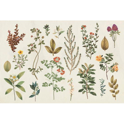 Victorian Garden III Autumn 1 Piece Wrapped Canvas Painting