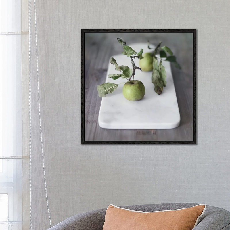 Growth Begins by Sarah Gardner - Print on Canvas, Black Floater Frame, 66.04 cm H x 66.04 cm W