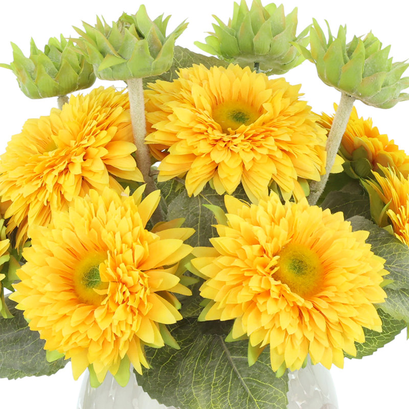 Tournesols disposés dans un vase en verre, Ardosia