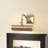 Leo Dimmable Wall Mount Picture Light-815854643-815854655