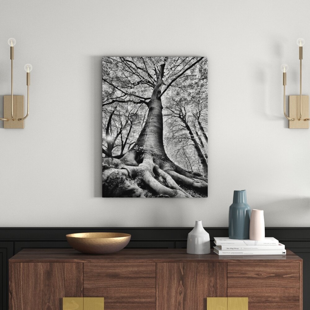 Leinwandbild Riesiger Baum im Dschungel in Monochrom