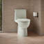 Toilette allongée écoénergétique Reach ™ 1,28 GPF-107149310