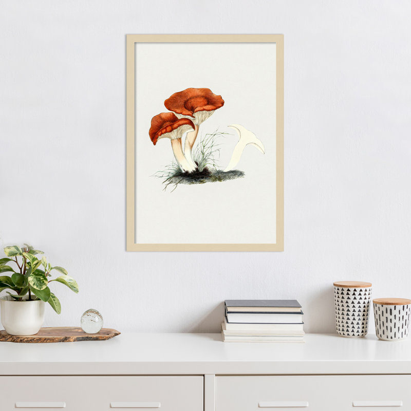 Reproduction imprimée à la main d'un champignon Milkcap, Brun, H 25 po x l 18 po x P 1 po