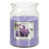 Purple is out of stock