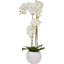 115cm Faux Plant in Cement Pot