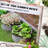 2 Of Galvanized Raised Garden Beds - Secure Outdoor Flower, Herb, And Vegetable Planters With Guarded Border Silver 2 Bed, 23.5" X 11.73" H Edging, Easy Assembly, Self-Draining For Aesthetics,
