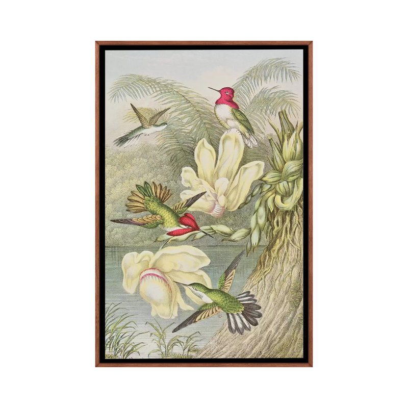 «Humming Birds parmi les fleurs tropicales» par English School - impression d'art graphique, H 40 po x l 26 po x P 1,5 po