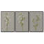 Barxan I 3 pièces-275930061-275930062