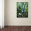 « tiu kelep », reproduction de photo sur toile tendue-23529914