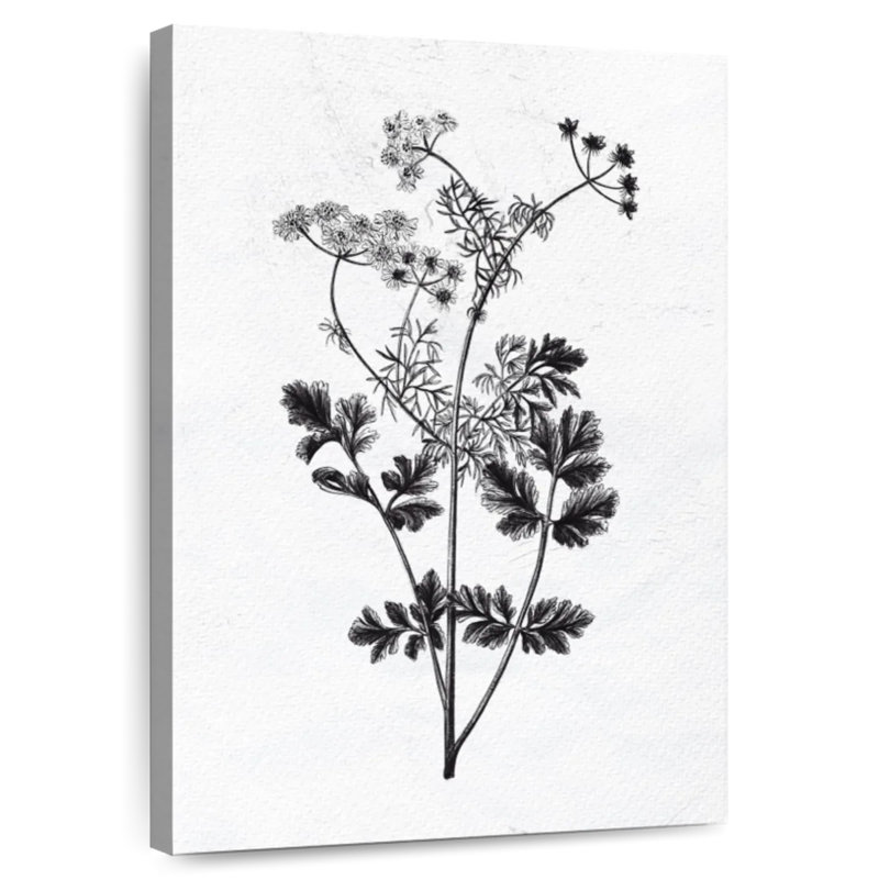 Harnek Pressed Herbs II, 51" H x 34" W
