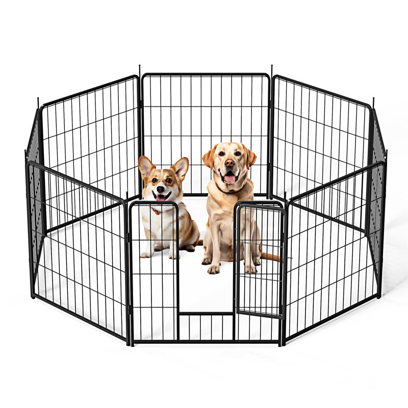 Parc pour chien intérieur / extérieur, H 23,6 po x l 57,3 po x P 57,3 po