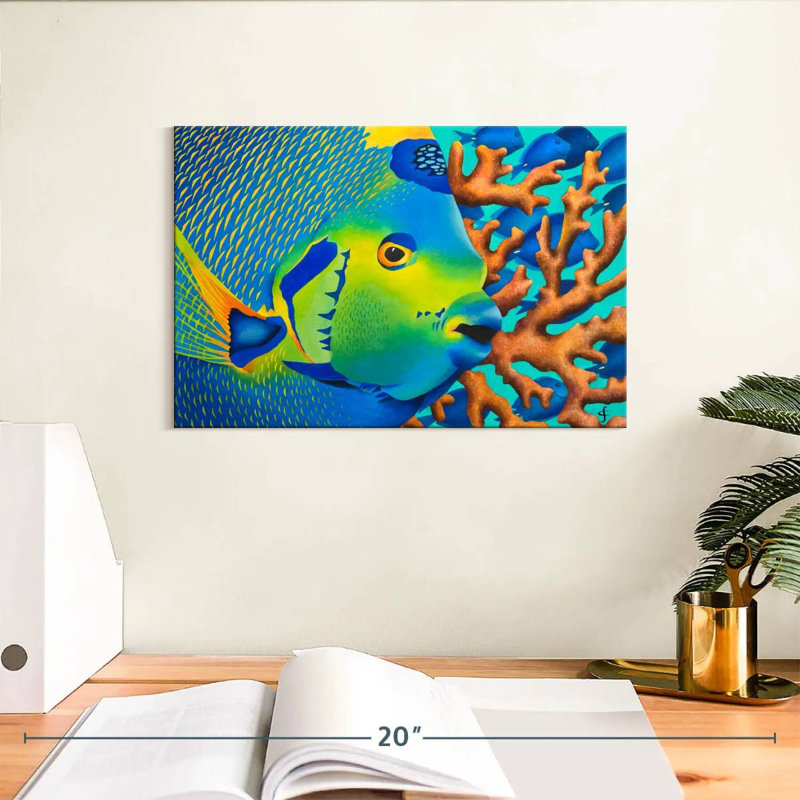 Brampt Angelfish, 8" H x 12" W