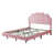 Pink is out of stock