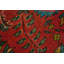 Orange Wool Floral Traditional Rug 3x5