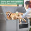 Stainless Steel Dog Washing Station