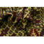 Tapis de la zone en laine rouge/beige 4 pi 3 po x 6 pi 7 po one-of-kind main-noué la Warminster