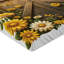 Drap-housse Ambesonne-95976434