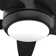 52" Zayden 5 - Blade Ceiling Fan With Lights and Remote