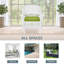 Chaise de patio avec coussins Arliss-671402772-671402795