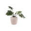 Vase Dex Iron Structured Black-92163499-92163496