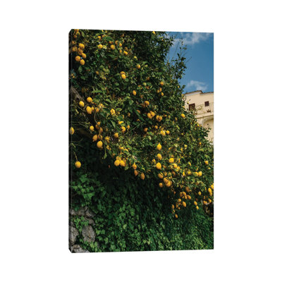 Amalfi Coast Lemons II by Bethany Young - Print on Canvas