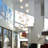 Izhane 14 - Light Globe Chandelier
